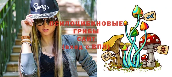 синтетический гашиш Алексин