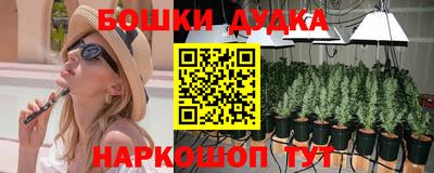 МДПВ Можайск